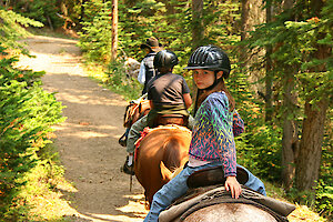Reien im Bayerischen Wald
